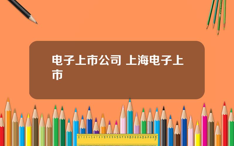 电子上市公司 上海电子上市